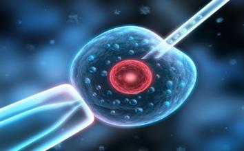 success story